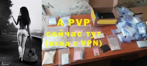 ПСИЛОЦИБИНОВЫЕ ГРИБЫ Вязьма