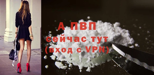 прущие грибы Надым