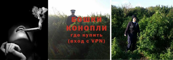 ПСИЛОЦИБИНОВЫЕ ГРИБЫ Вязьма