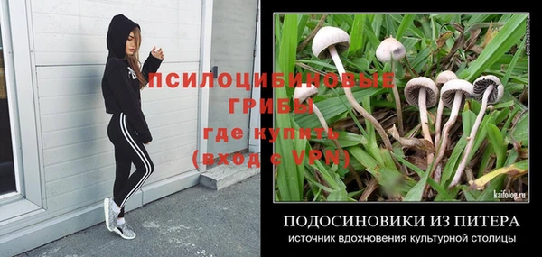 гидропоника Горно-Алтайск