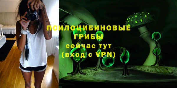 гидропоника Горно-Алтайск